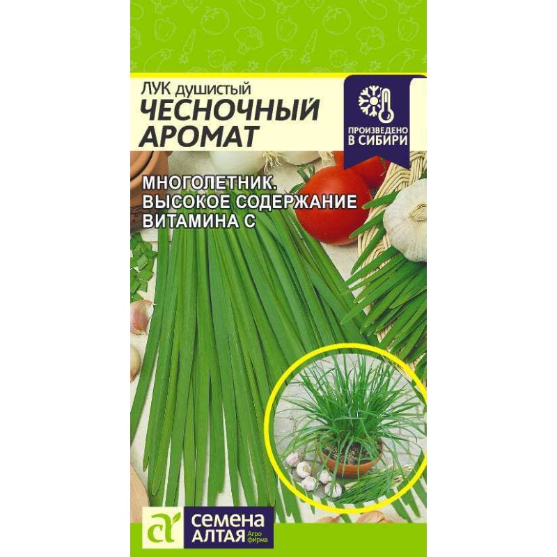 luk-dushistyj-chesnochnyj-aromat-sem-alt-czp-05-gr-1.jpg Лук Душистый Чесночный Аромат/Сем Алт/цп 0,5 гр. — изображение 1