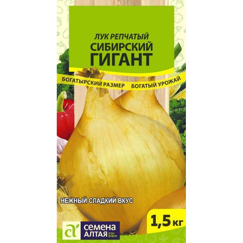 luk-sibirskij-gigant-sem-alt-czp-02-gr-novinka-seriya-sibirskie-giganty-1.jpg Лук Сибирский Гигант/Сем Алт/цп 0,2 гр. НОВИНКА! СЕРИЯ СИБИРСКИЕ ГИГАНТЫ! — изображение 1
