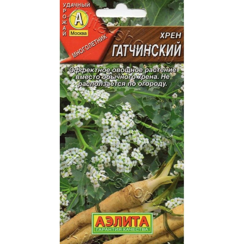 hren-gatchinskij-03g-ae-5.jpg Хрен Гатчинский 0,3г, АЭ — изображение 1