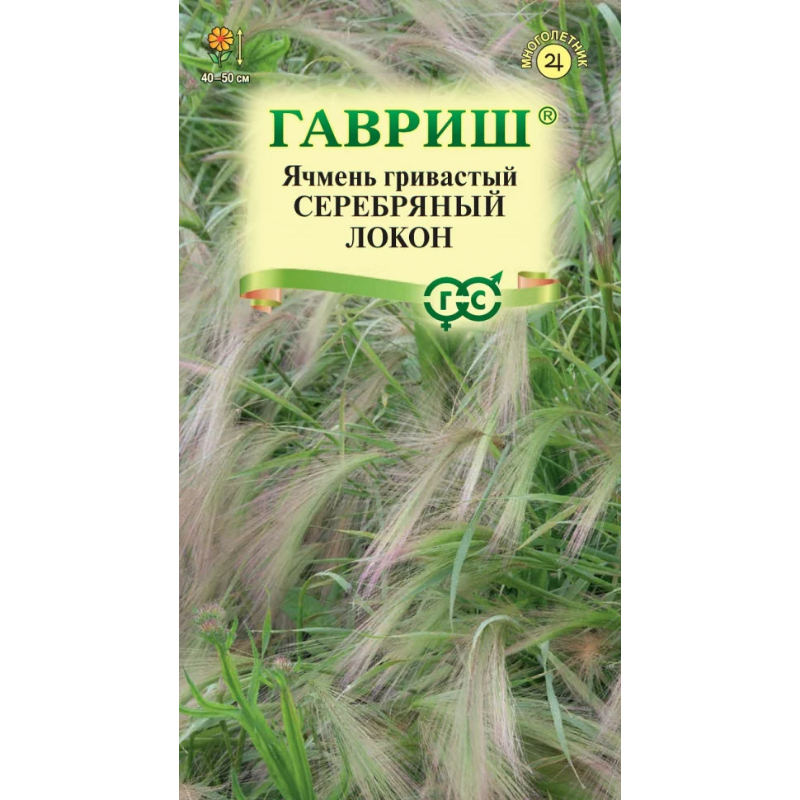 yachmen-grivastyj-serebryanyj-lokon-01g-gavrish-czvetochnaya-kollekcziya-5.jpg Ячмень гривастый Серебряный локон, 0,1г, Гавриш, Цветочная коллекция — изображение 1